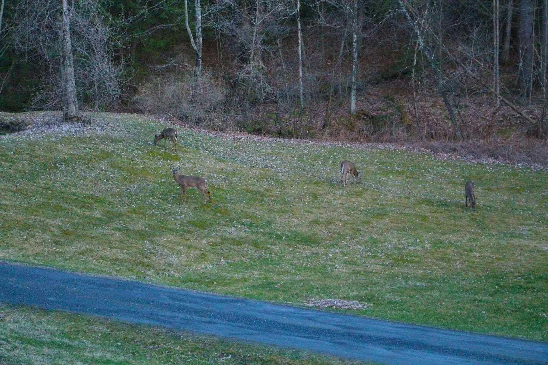 135 Governor Peck Road Jericho VT 05465