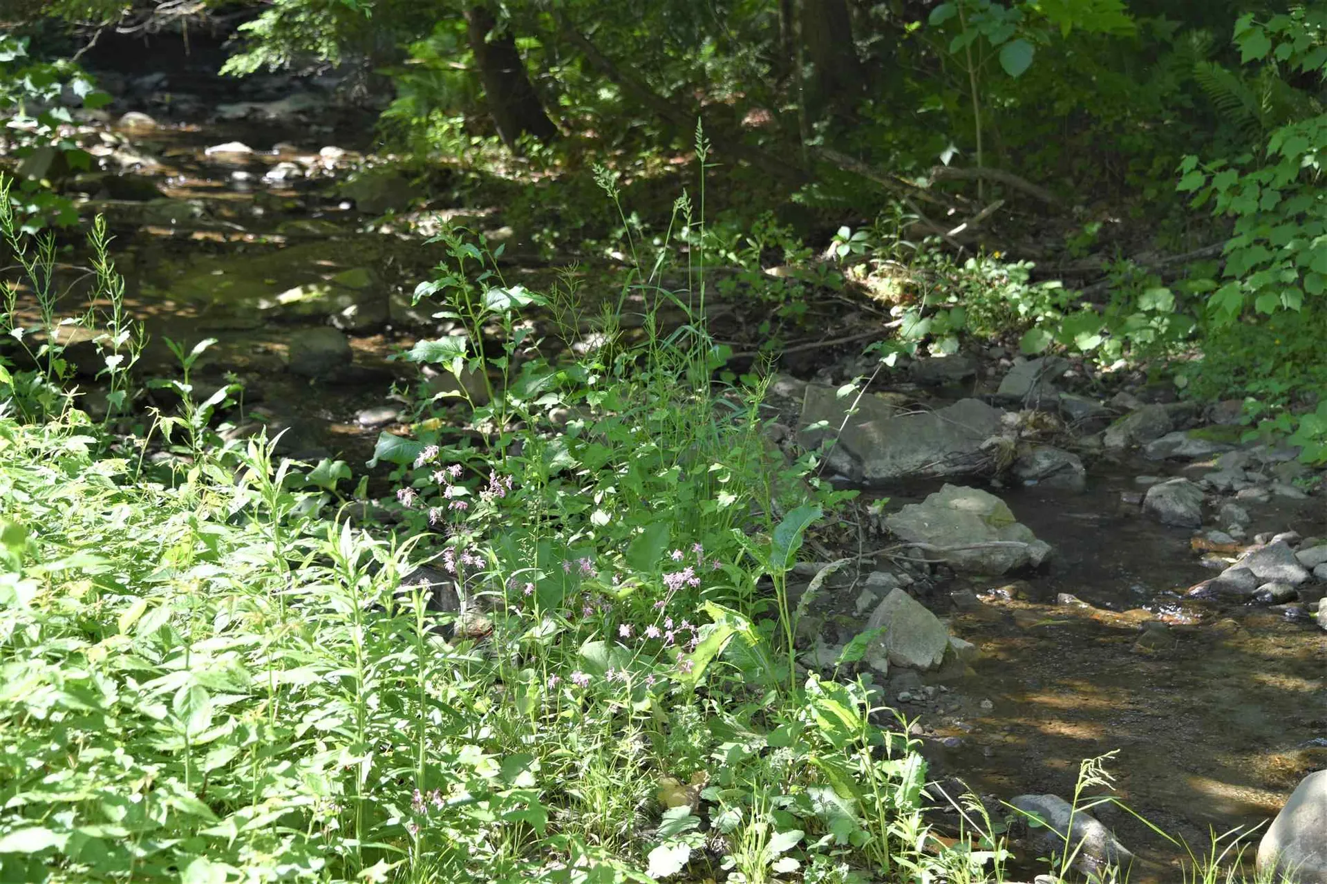 135 Governor Peck Road Jericho VT 05465