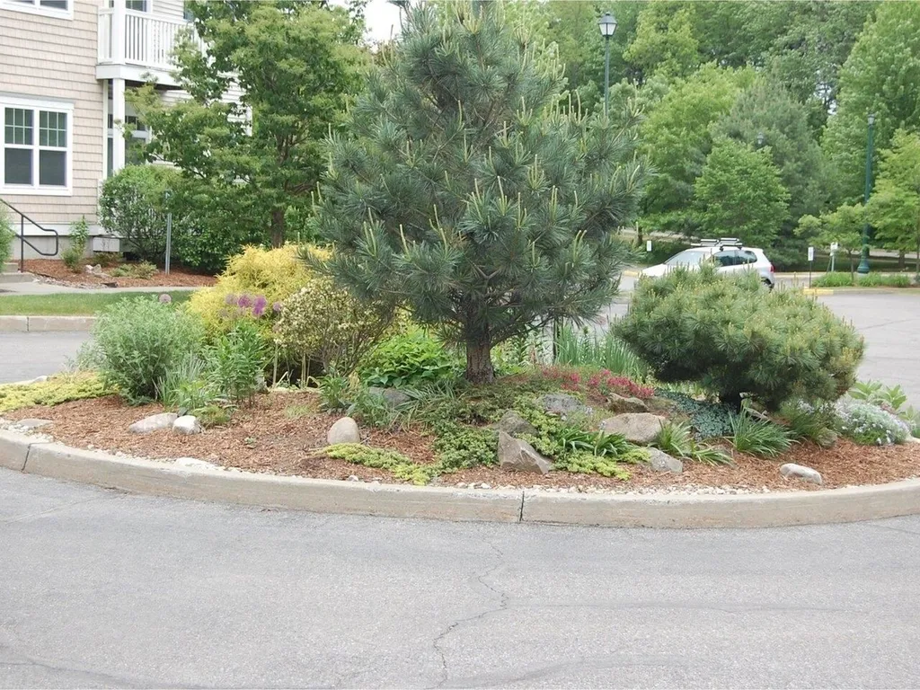 99 Eldredge Street South Burlington VT 05403