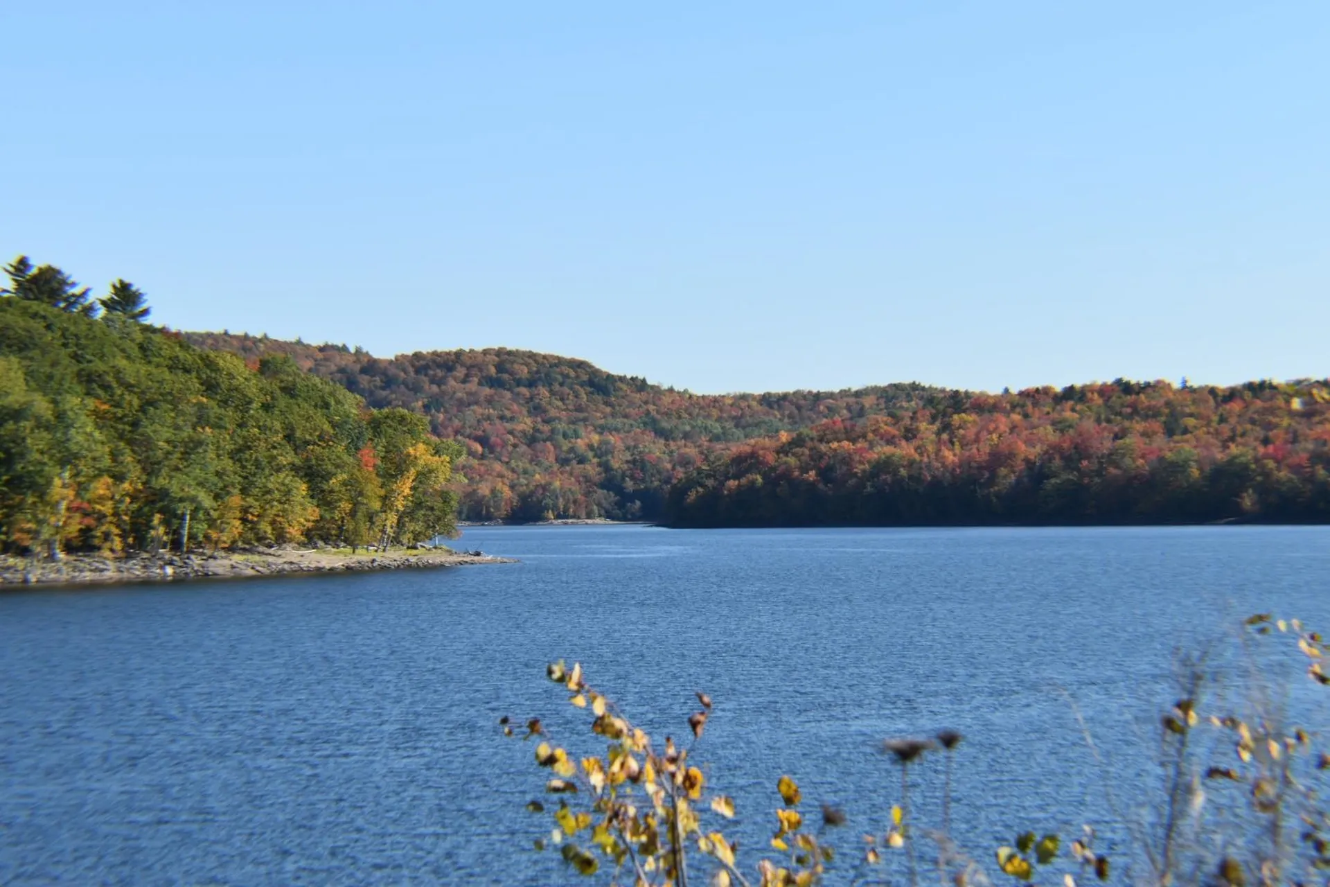 Lot 44 Route 100 Readsboro VT 05350