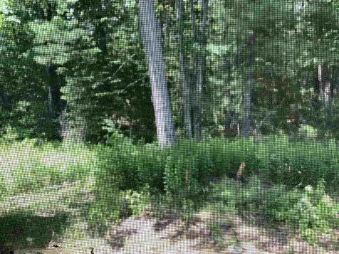 6 Brownstone Lane Rochester NH 03867