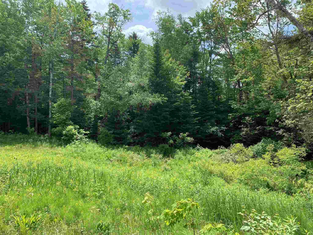 49 Hemlock Lane Grantham NH 03753