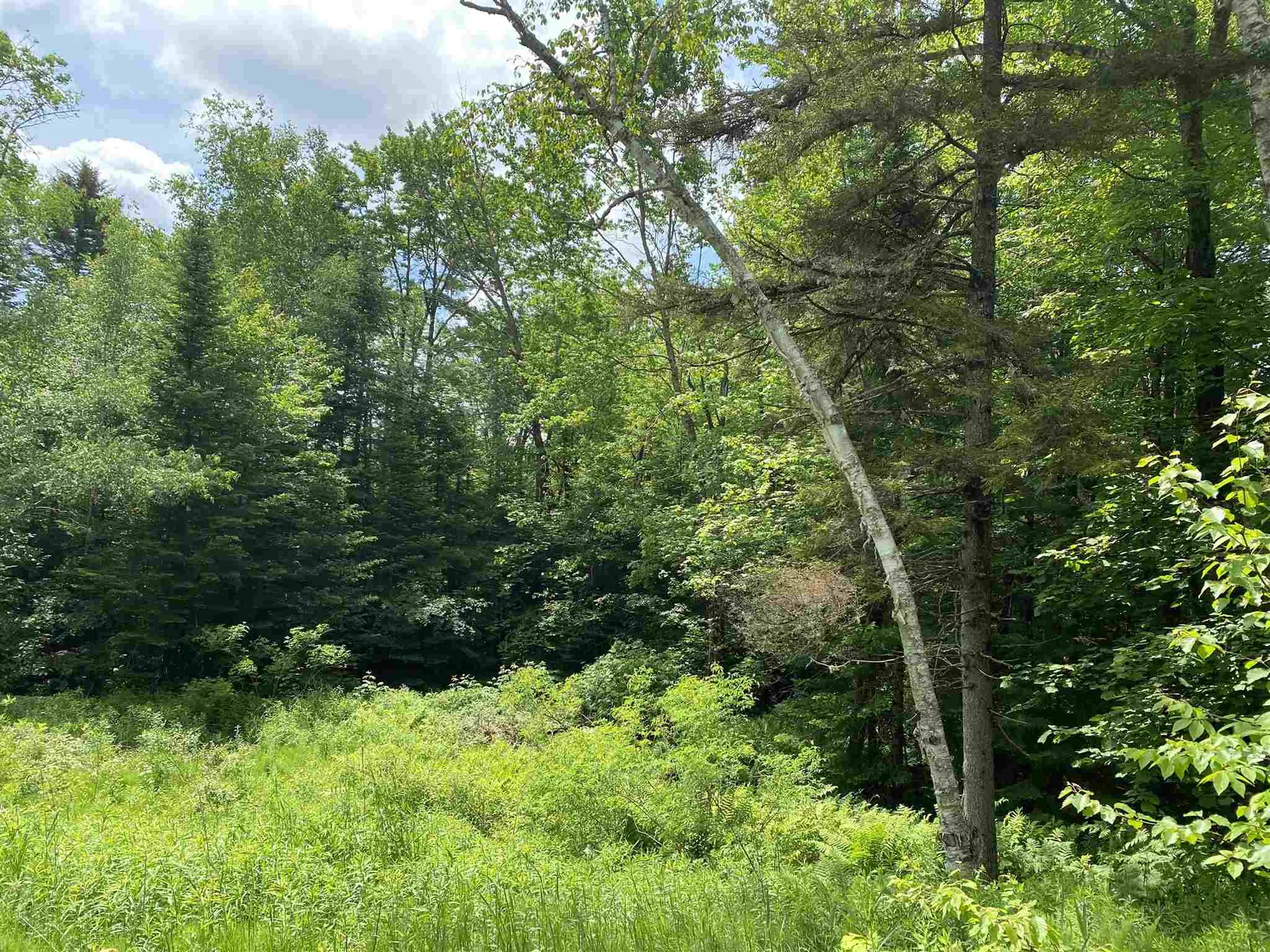 49 Hemlock Lane Grantham NH 03753