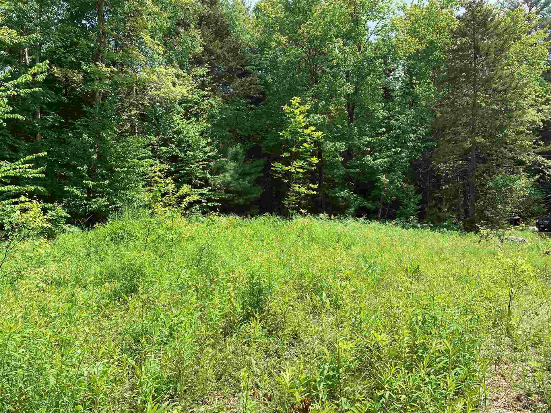 49 Hemlock Lane Grantham NH 03753