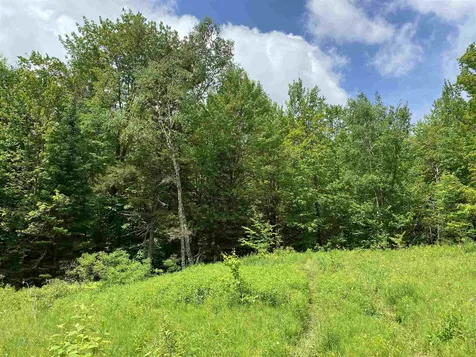 49 Hemlock Lane Grantham NH 03753