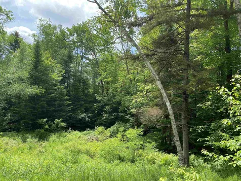 49 Hemlock Lane Grantham NH 03753