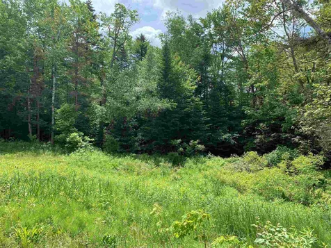 49 Hemlock Lane Grantham NH 03753