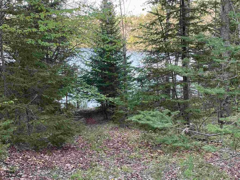 49 Hemlock Lane Grantham NH 03753