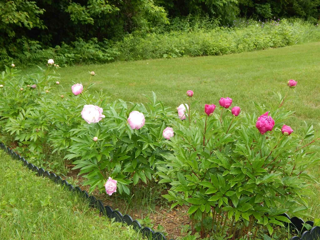 39 Channing Drive Windsor VT 05089