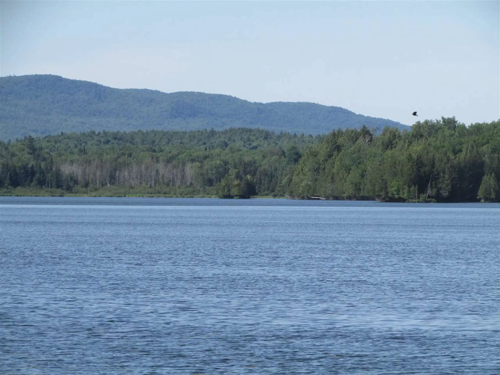 Mill Village Road Craftsbury VT 05827