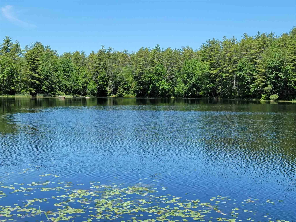 2 Downing Road New Durham NH 03855