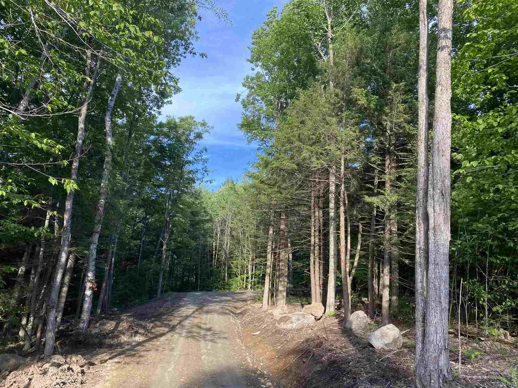 Cole Pond Road Jamaica VT 05343