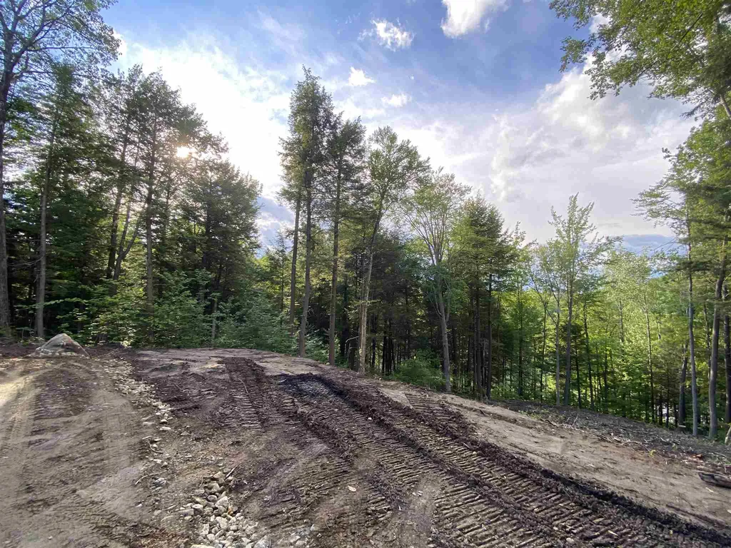 Cole Pond Road Jamaica VT 05343