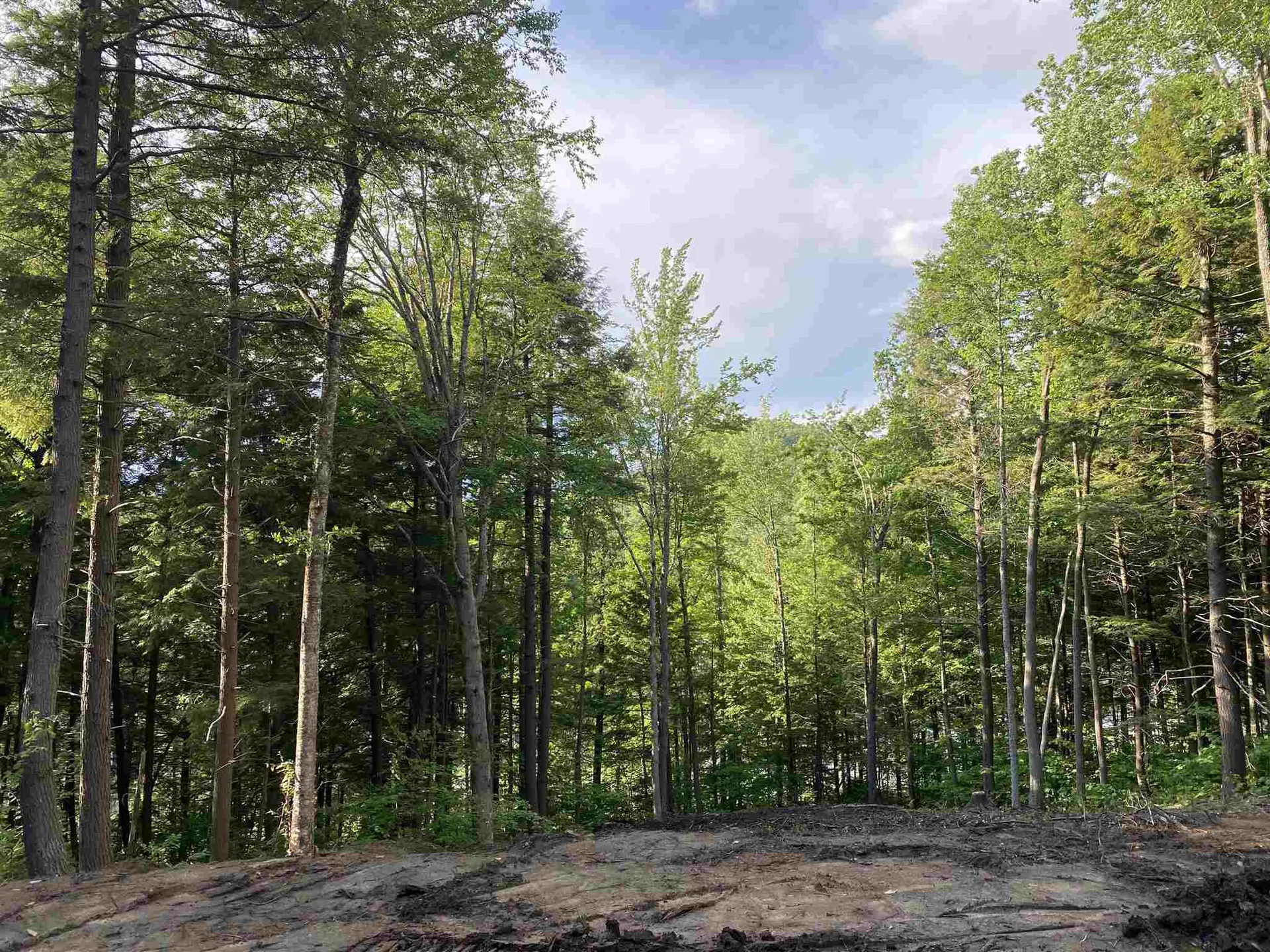 Cole Pond Road Jamaica VT 05343