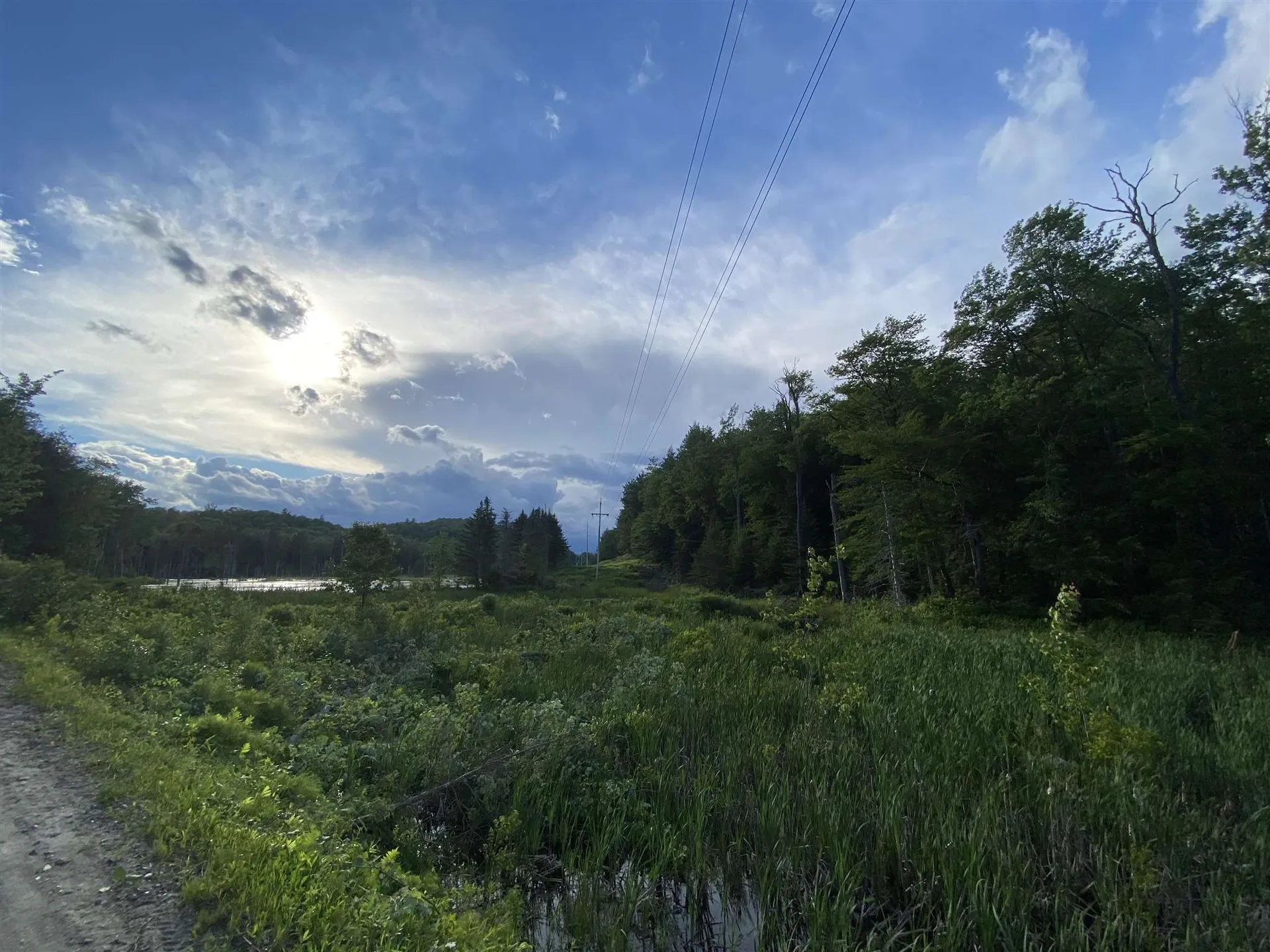 Cole Pond Road Jamaica VT 05343