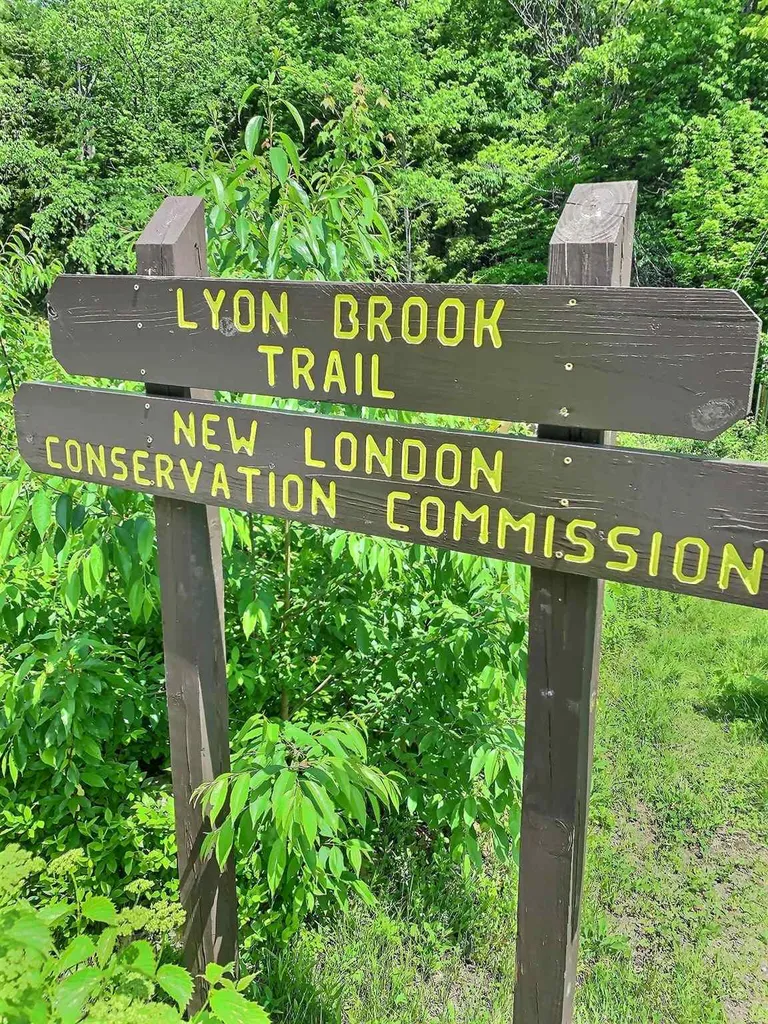237 Brookside Drive New London NH 03257