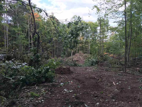 62 Twin Hill Road Westford VT 05494