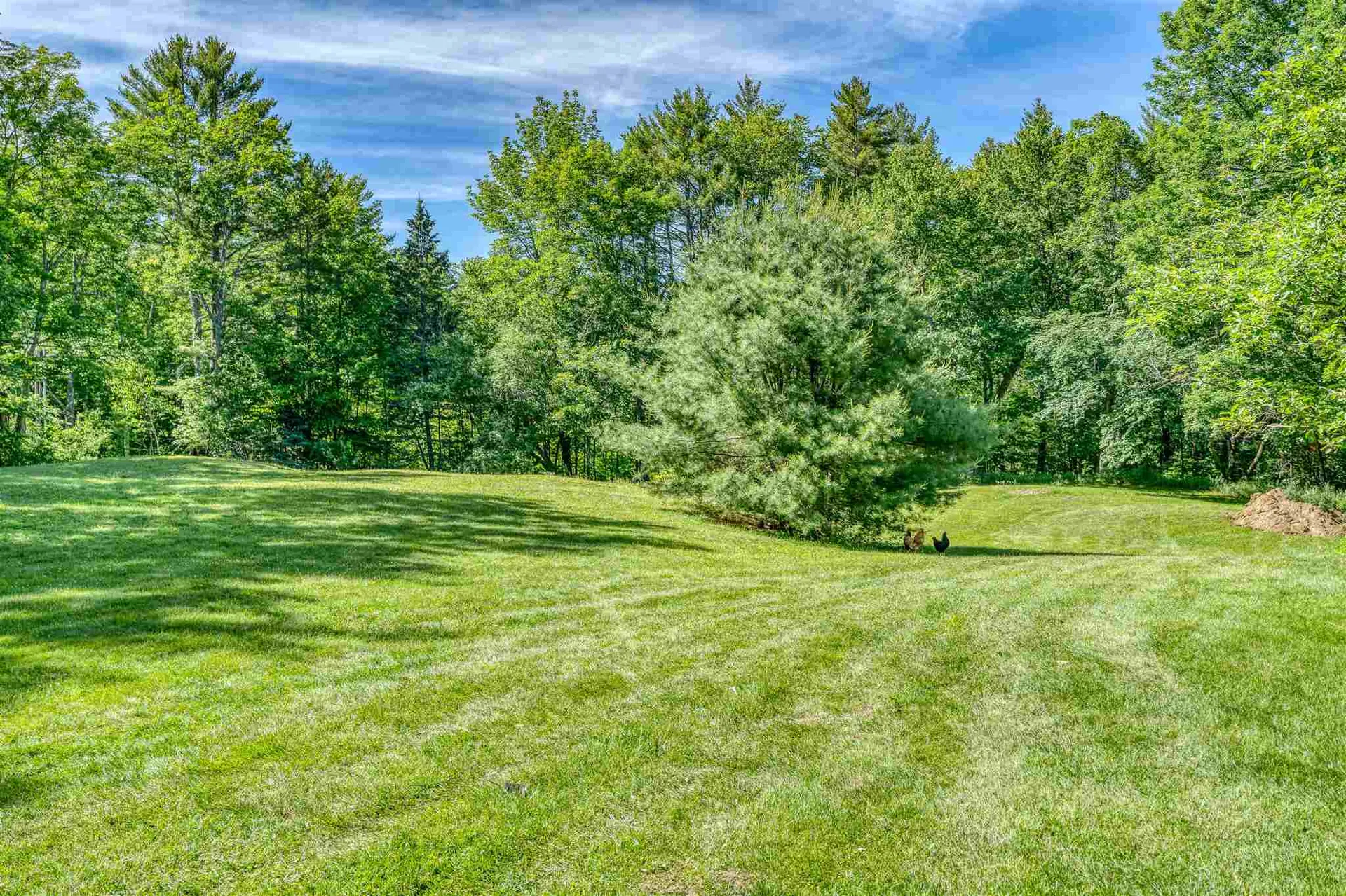 3830 South Road Bradford VT 05033