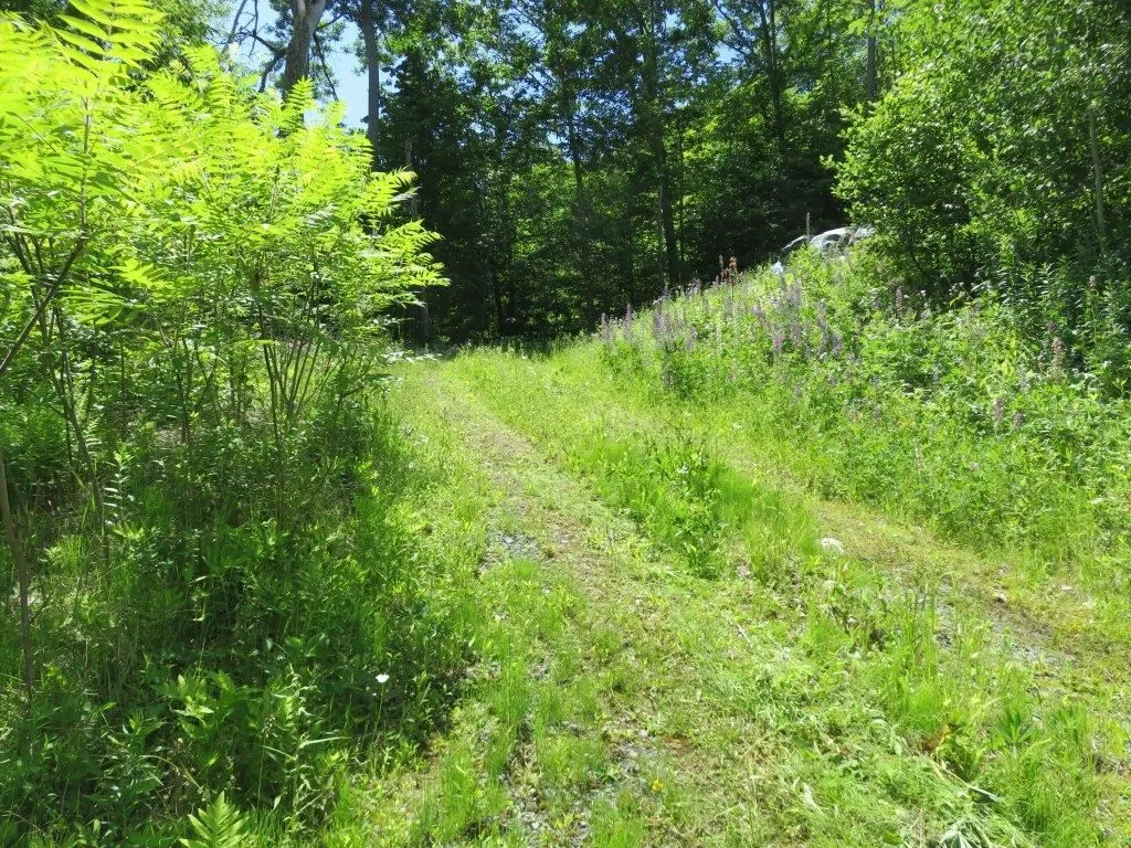 160 Nh Route 4a Enfield NH 03748