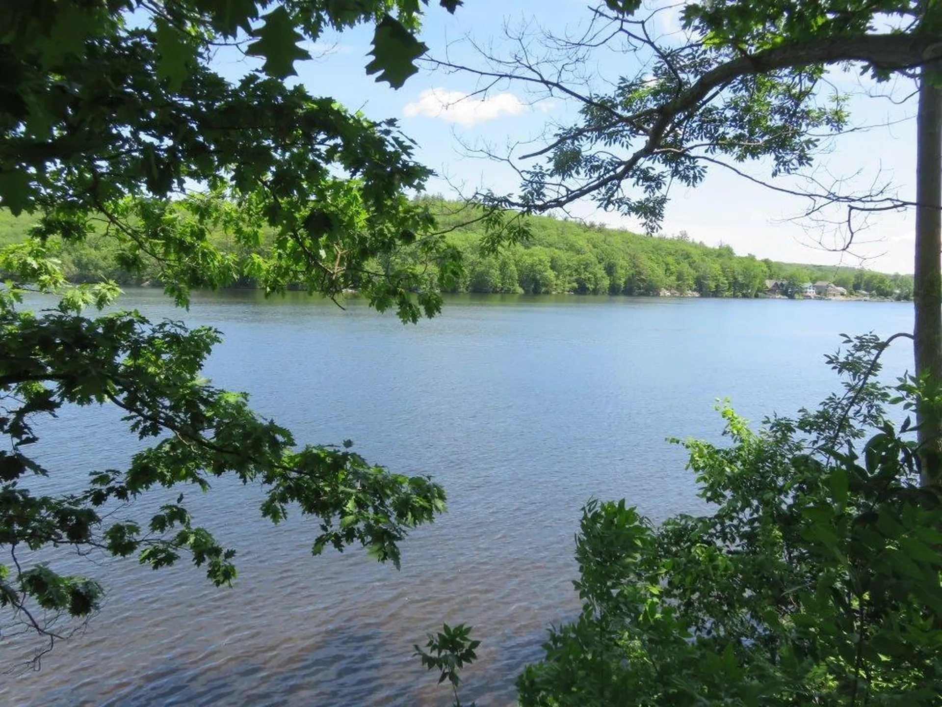 160 Nh Route 4a Enfield NH 03748