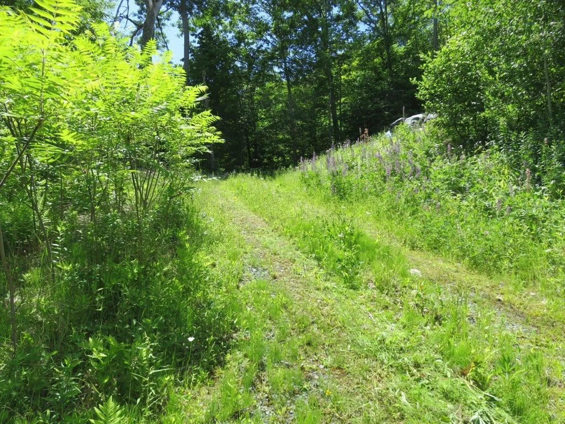 160 Nh Route 4a Enfield NH 03748