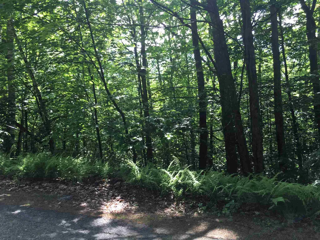 04.04.02 Pegwood Road Campton NH 03223