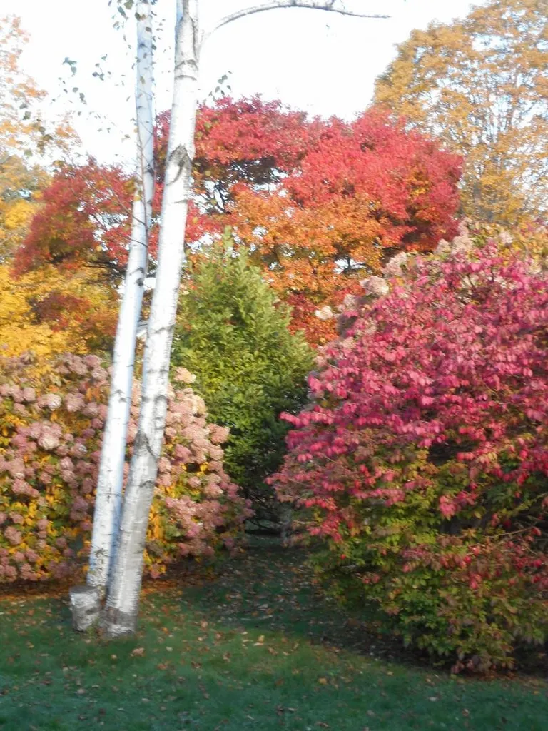 11 Ledyard Lane Hanover NH 03755