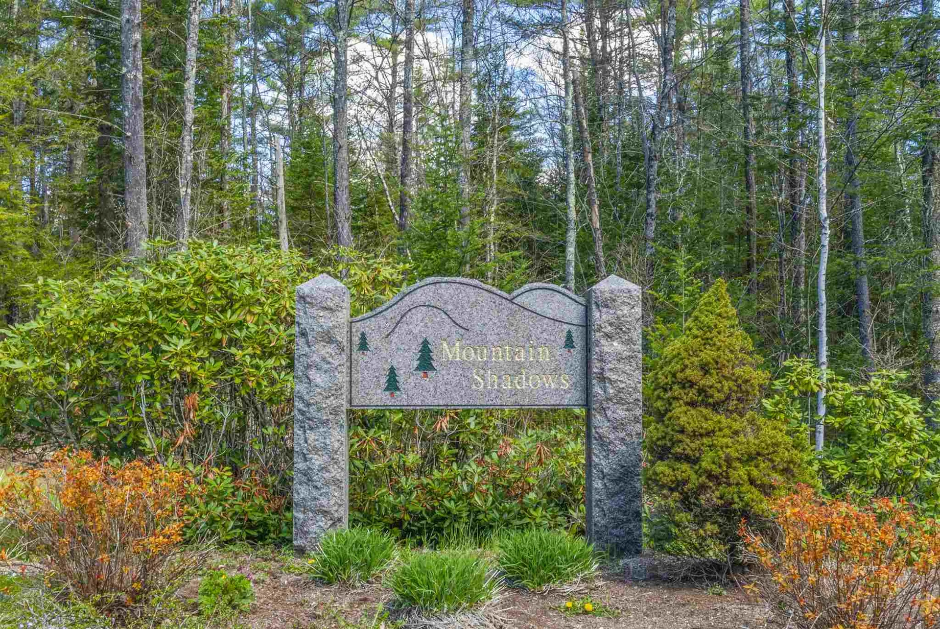 30 Mountain Shadows Drive Tuftonboro NH 03850