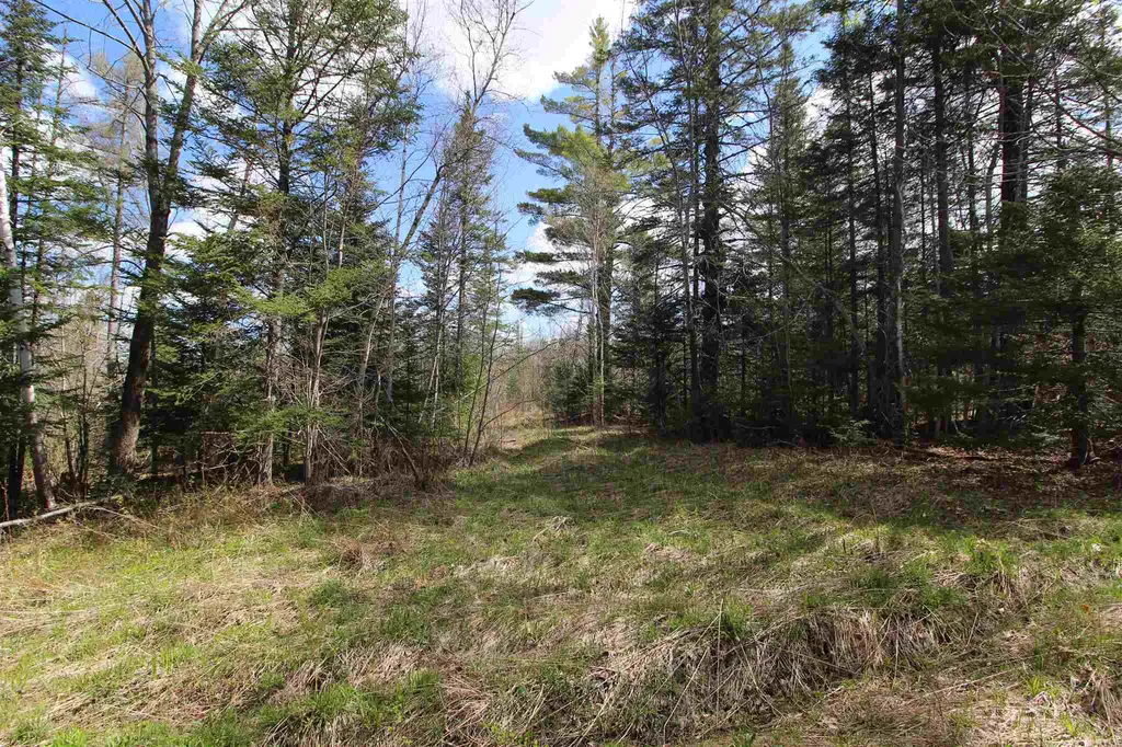 310 Young Farm Road Peacham VT 05862