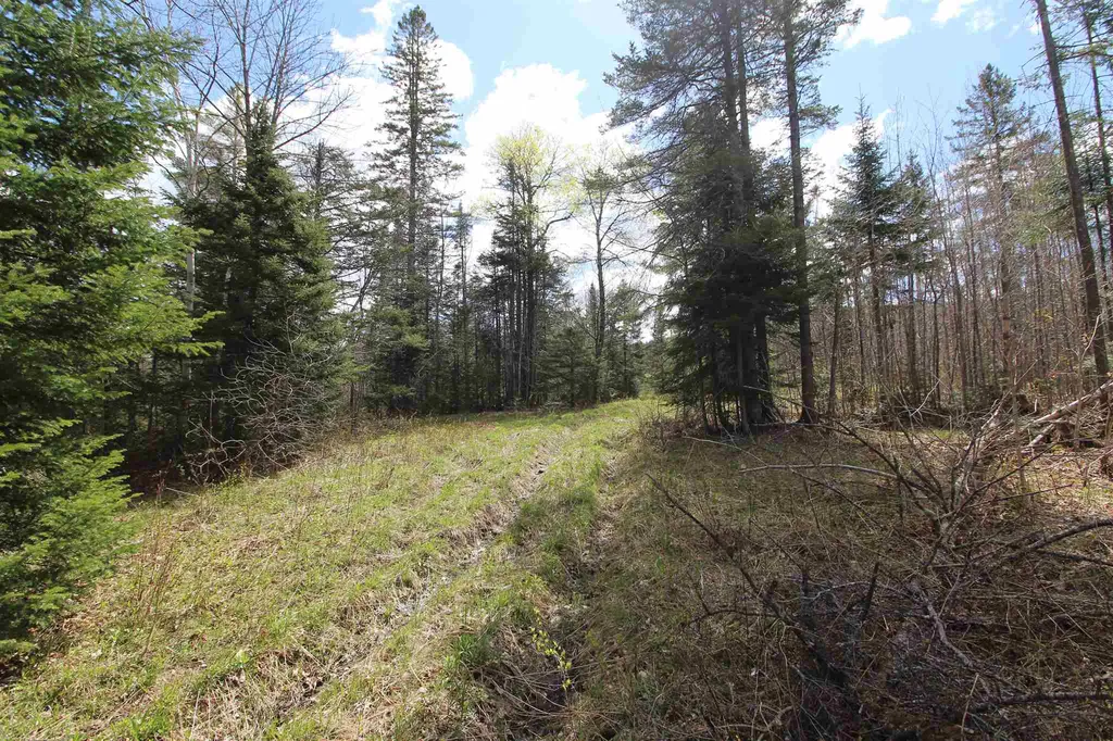 310 Young Farm Road Peacham VT 05862