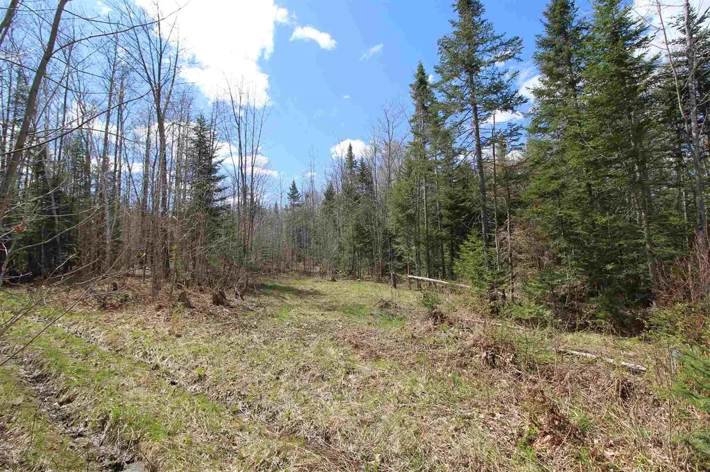 310 Young Farm Road Peacham VT 05862