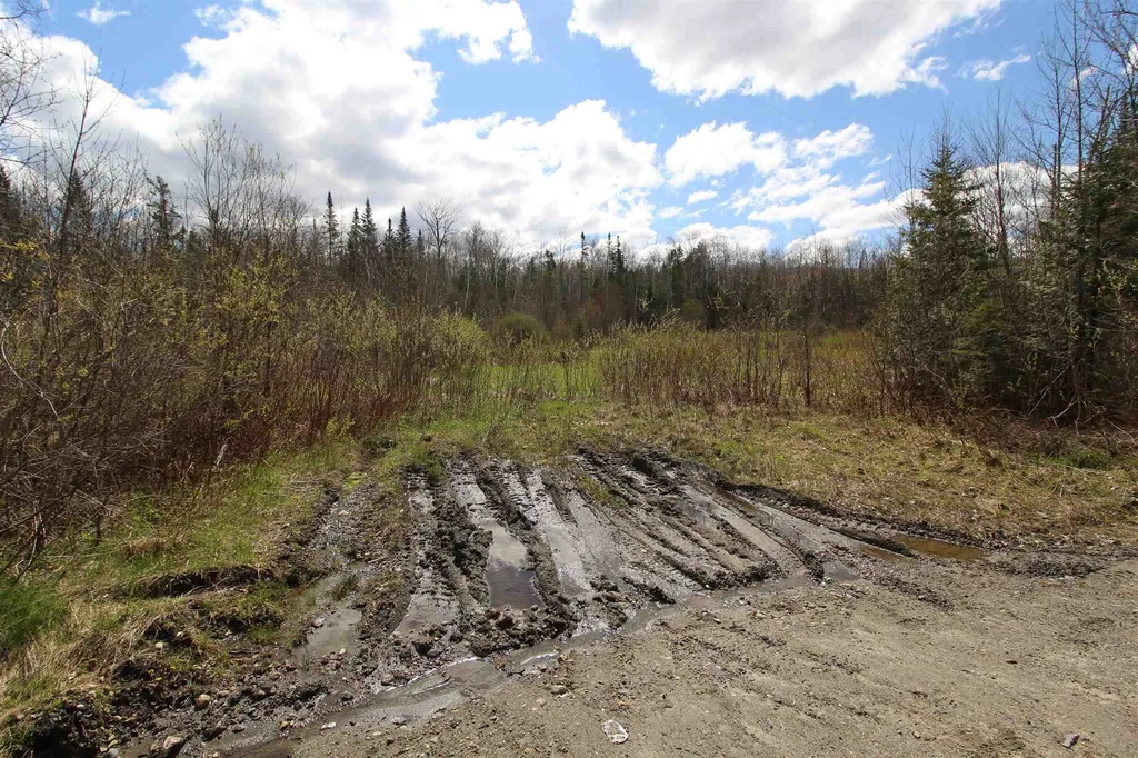 310 Young Farm Road Peacham VT 05862