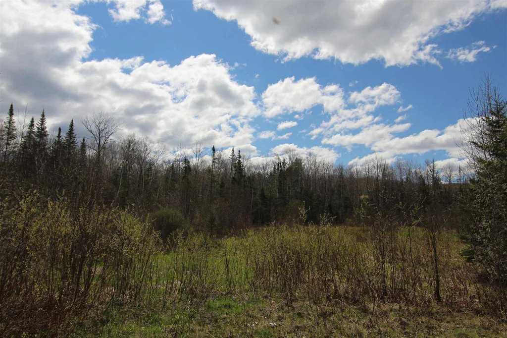 310 Young Farm Road Peacham VT 05862