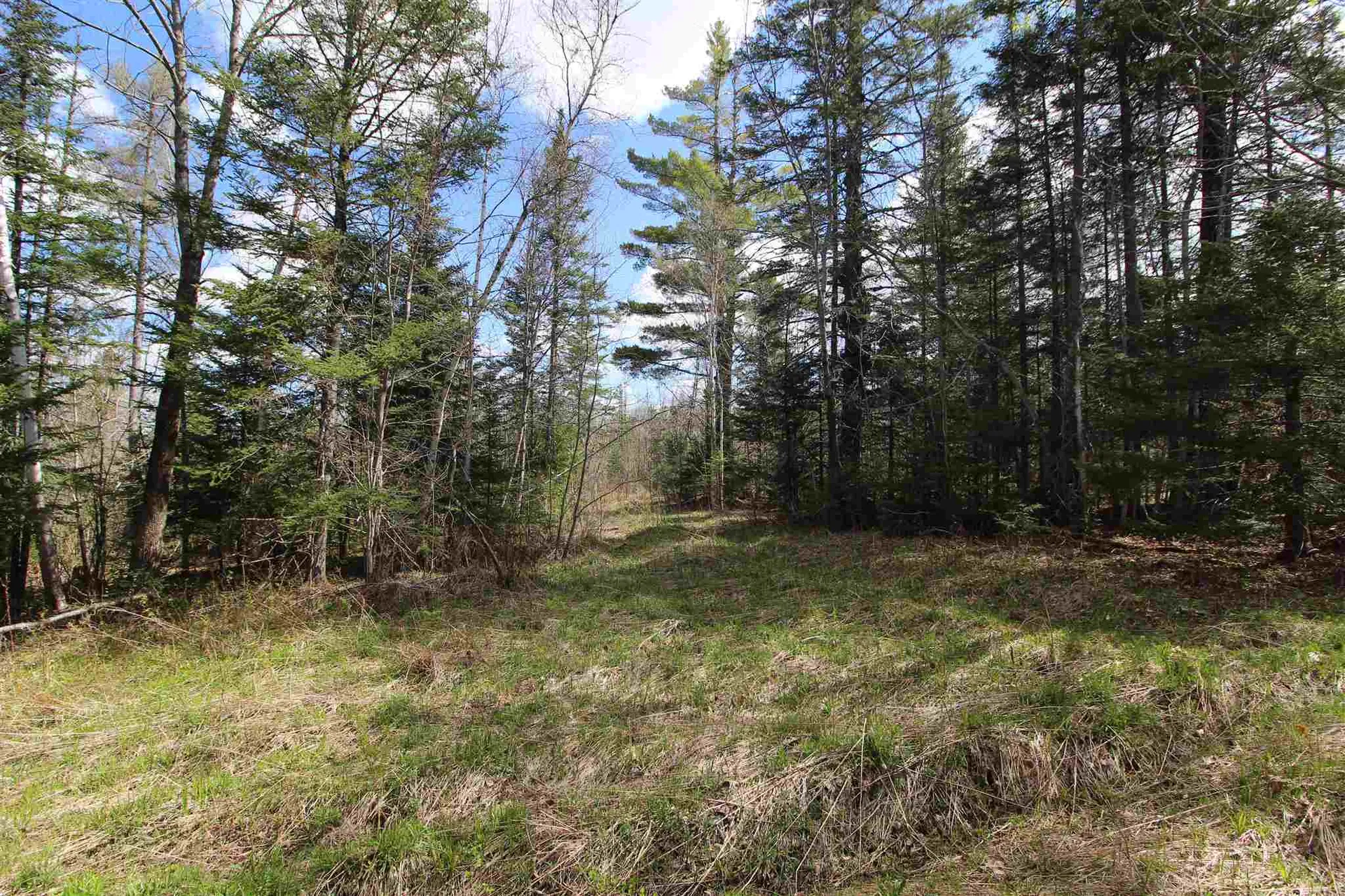 310 Young Farm Road Peacham VT 05862