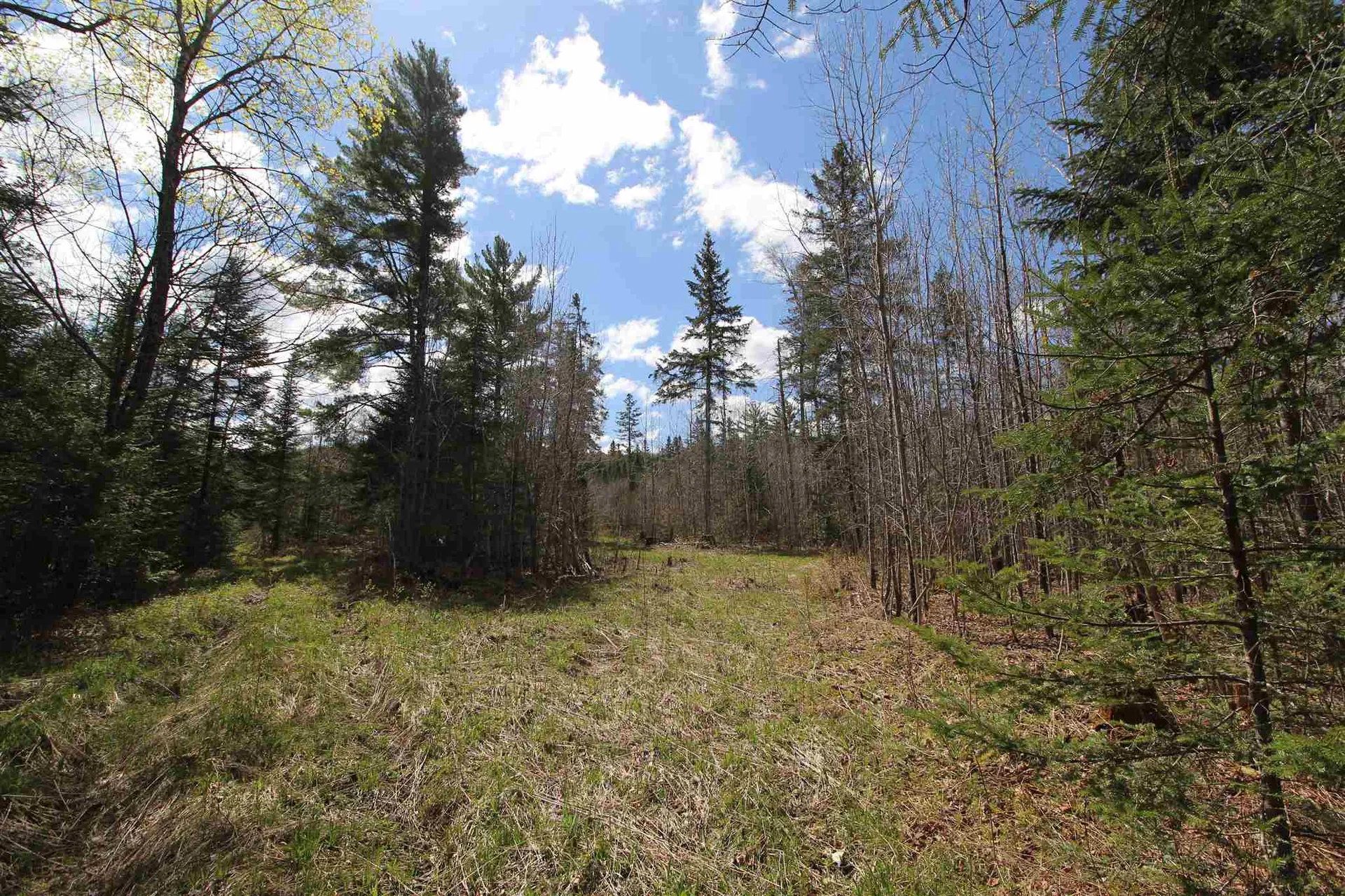 310 Young Farm Road Peacham VT 05862