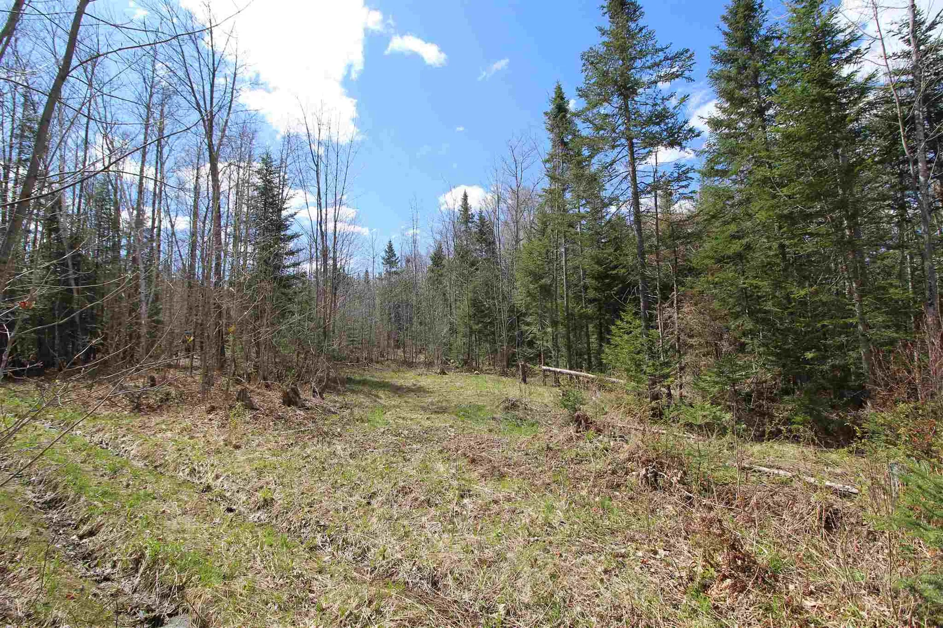 310 Young Farm Road Peacham VT 05862