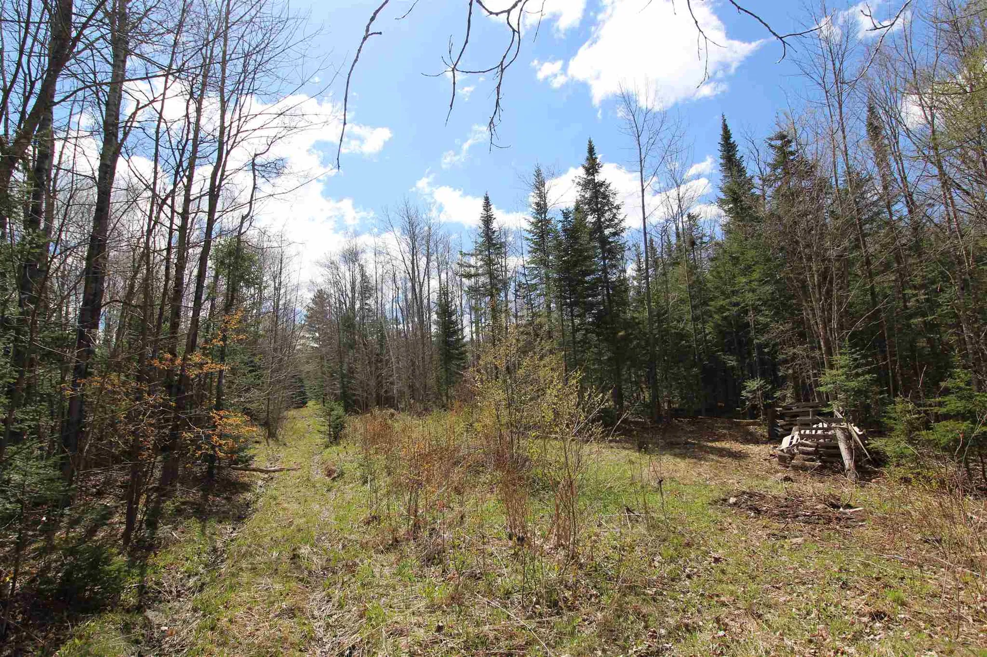 310 Young Farm Road Peacham VT 05862