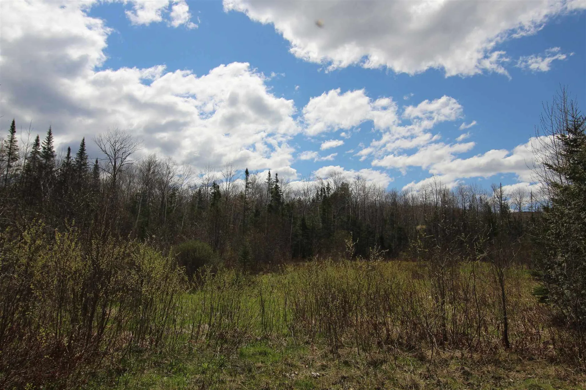 310 Young Farm Road Peacham VT 05862