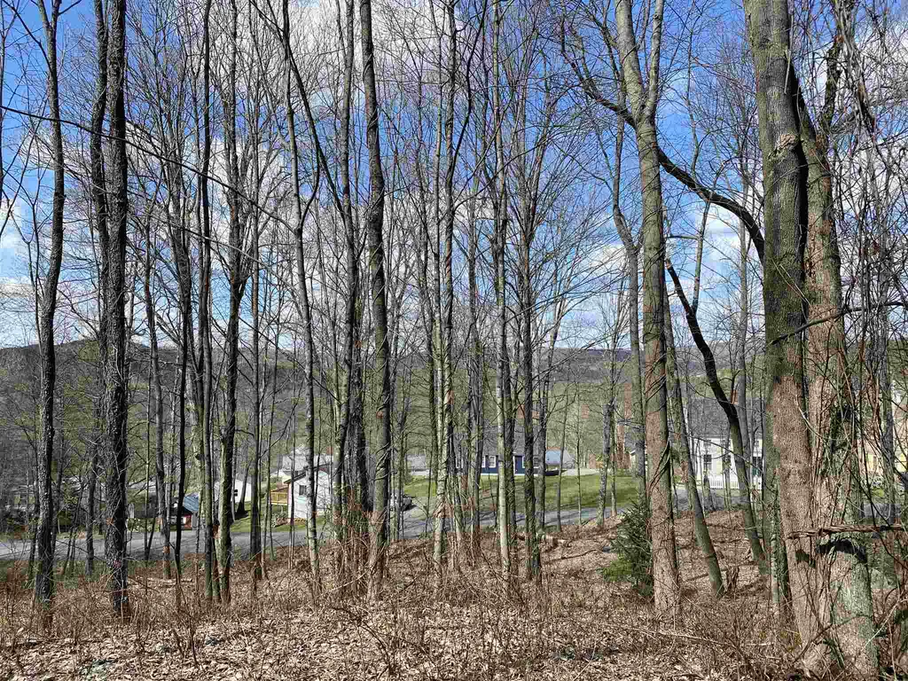 0 Lincoln Street Woodstock VT 05091