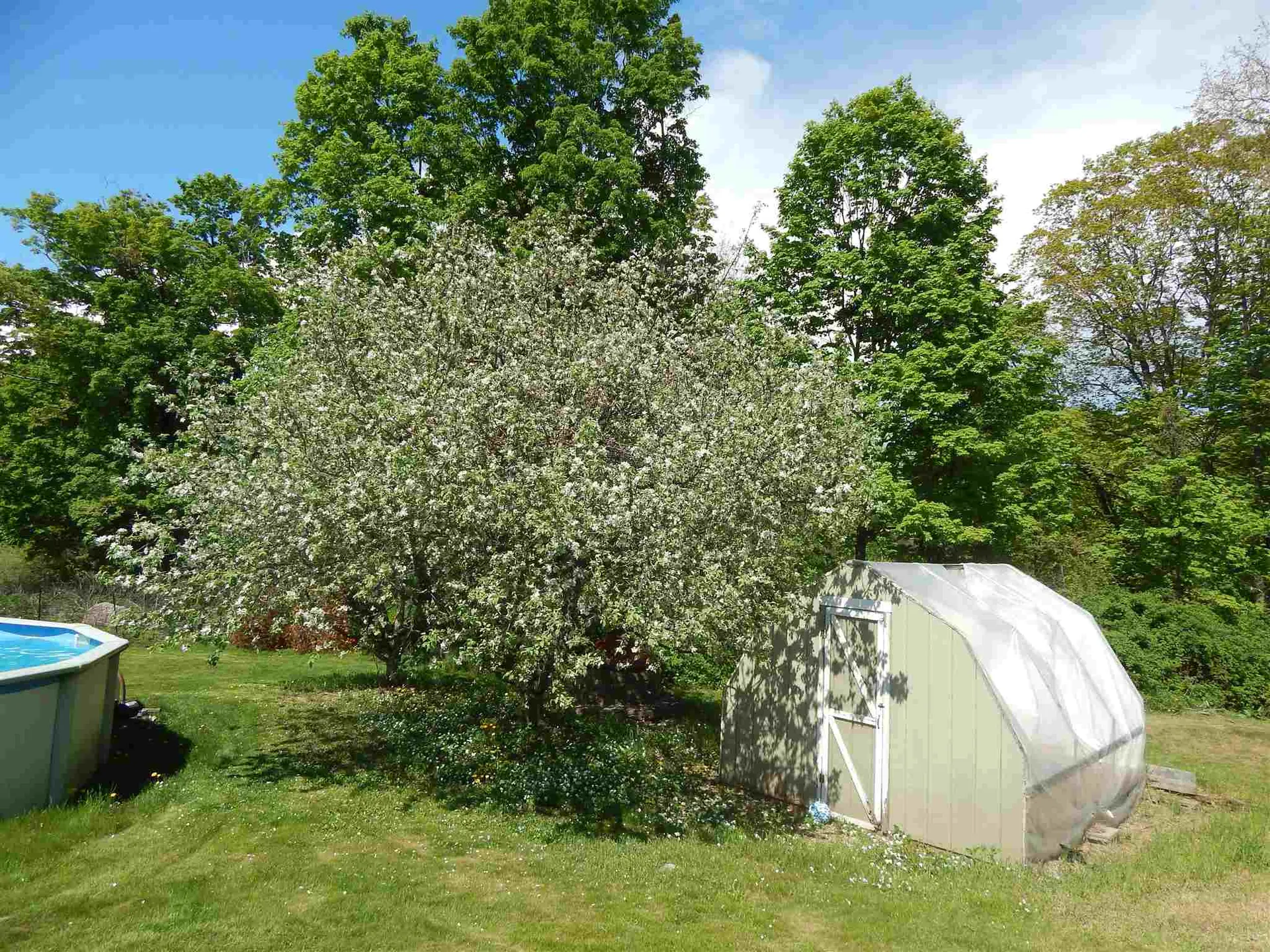 415 Lower Bay Road Sanbornton NH 03269