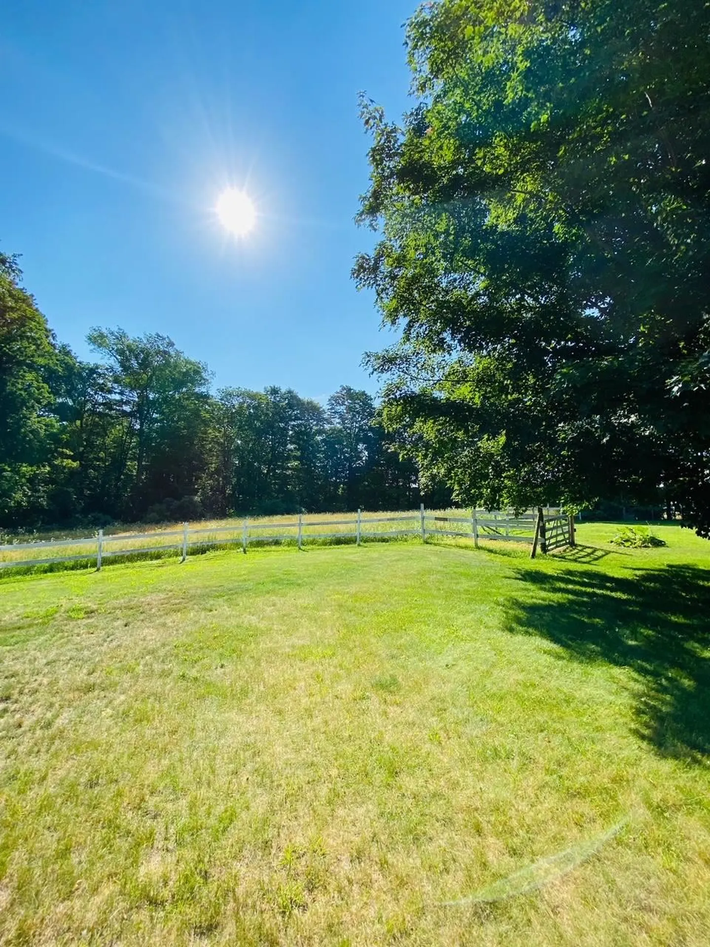 415 Lower Bay Road Sanbornton NH 03269