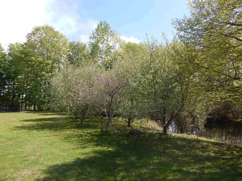 415 Lower Bay Road Sanbornton NH 03269