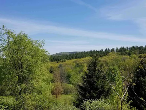 93 Summit Circle Brattleboro VT 05301