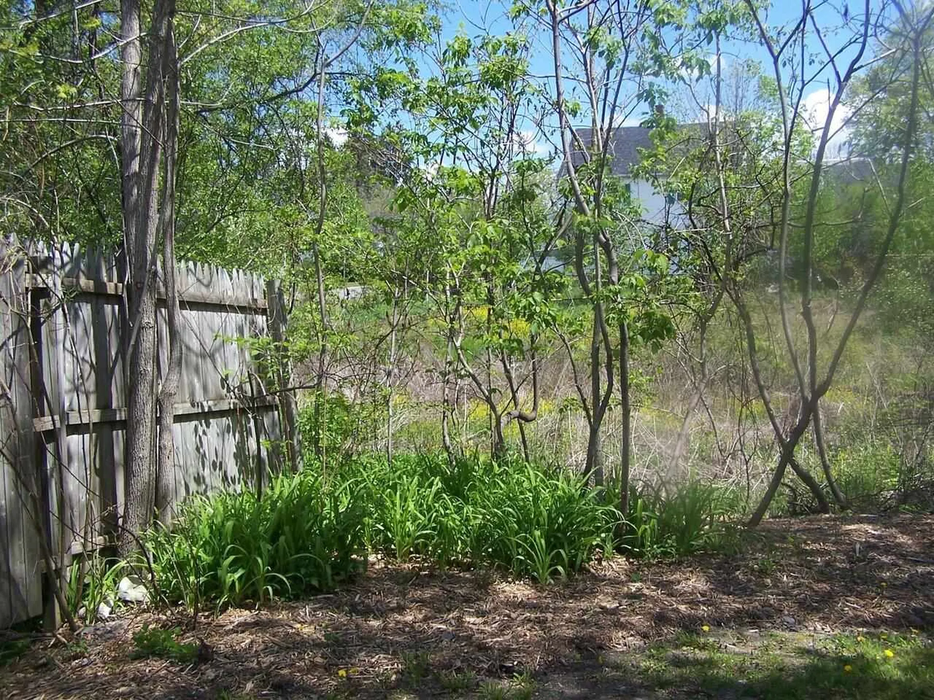 83 Court Street Middlebury VT 05753