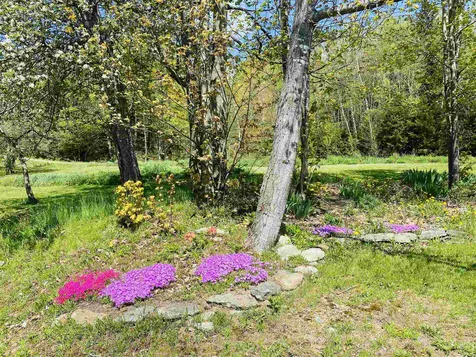 923 Buck Hill Road Lowell VT 05847