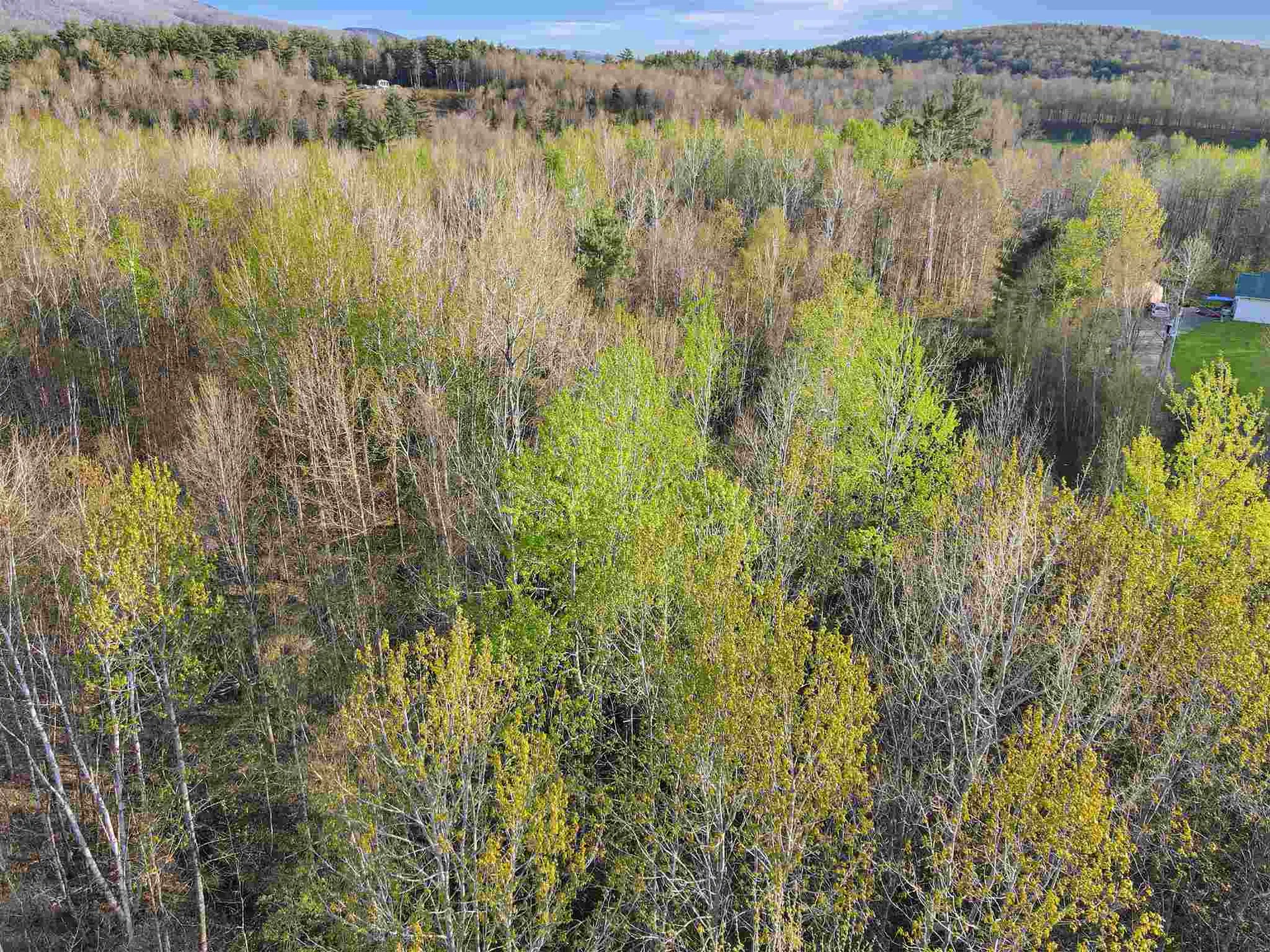 00 Knapp Road Piermont NH 03779