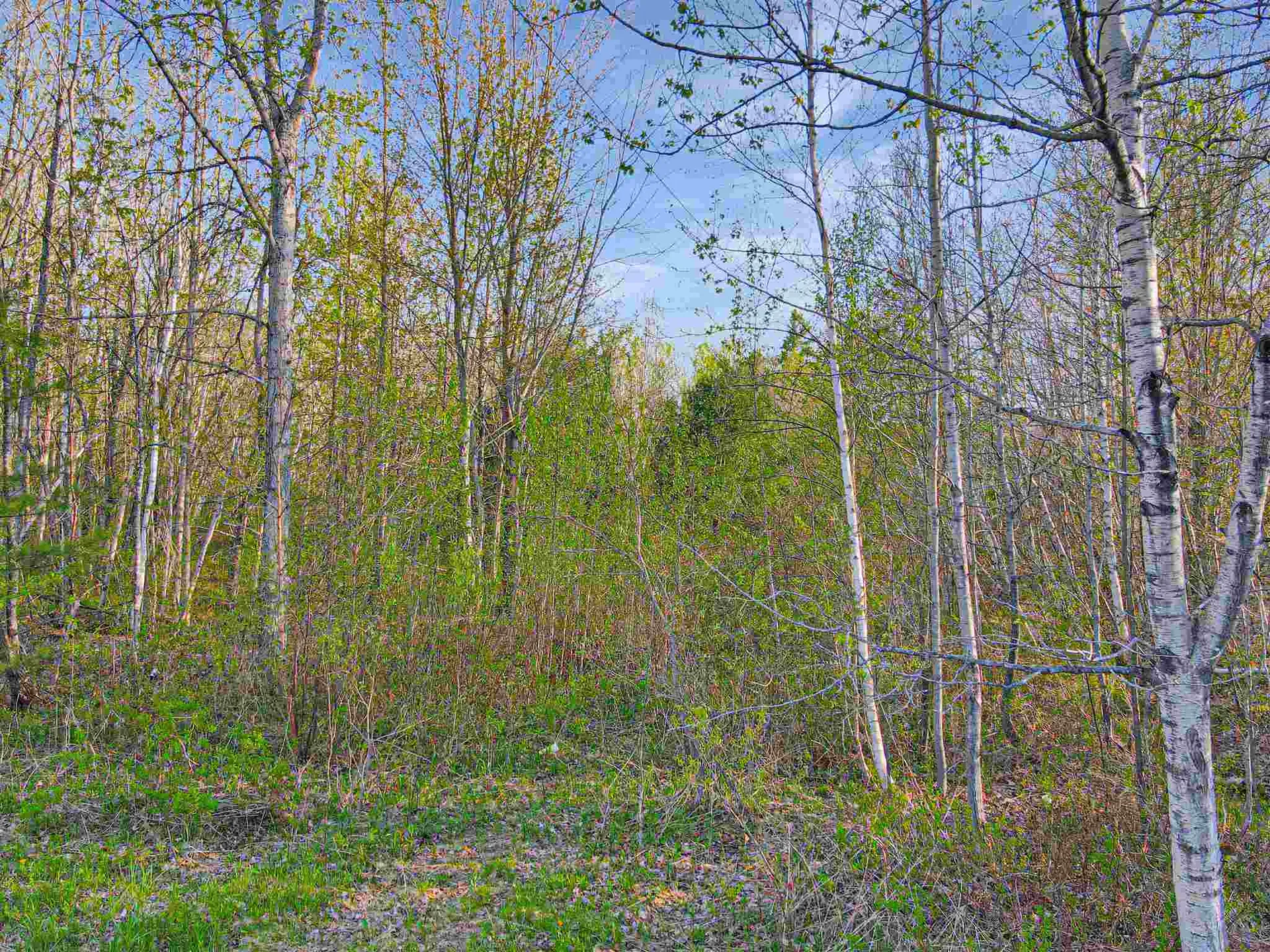 00 Knapp Road Piermont NH 03779