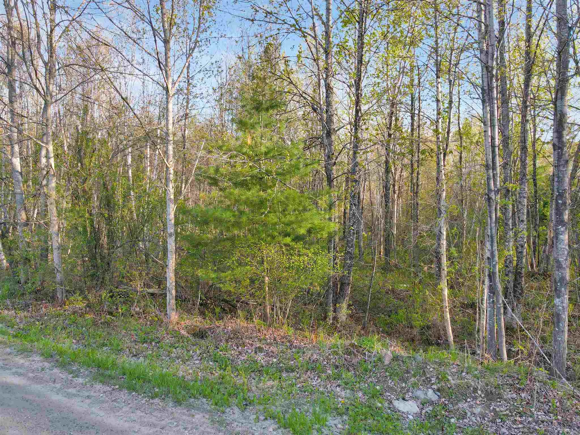 00 Knapp Road Piermont NH 03779