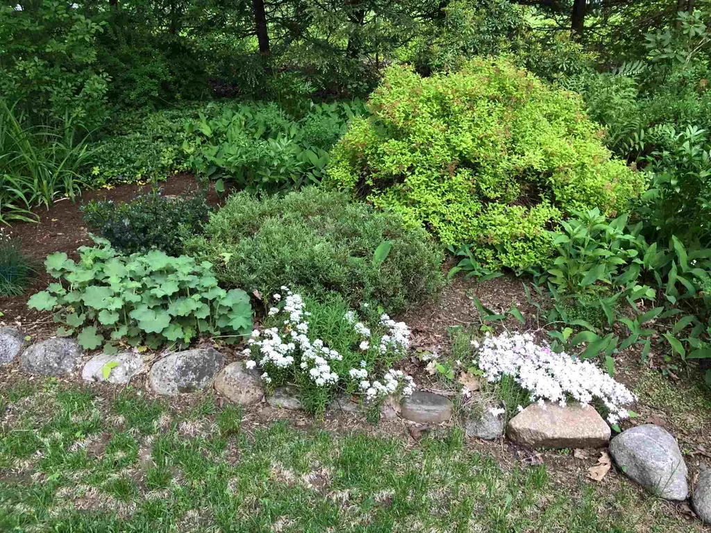 55 Greensboro Road Hanover NH 03755