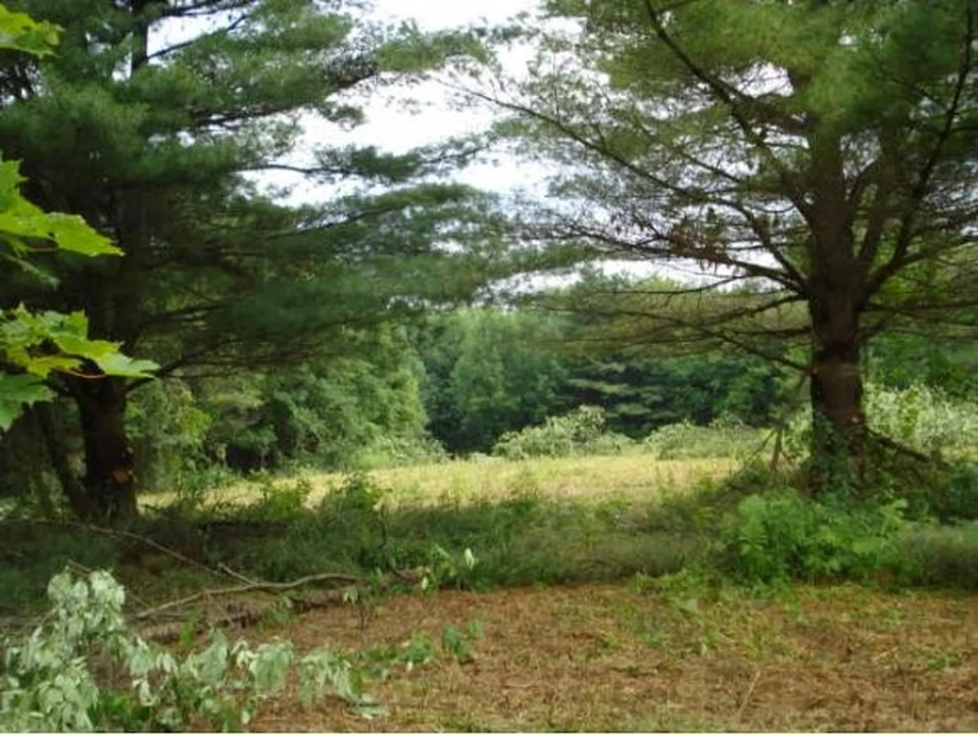 0 Isabelle Circle Montpelier VT 05602